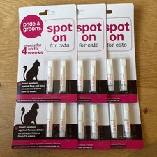 6 x 2 Pride & Groom SPOT ON