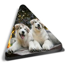 Triangle MDF Magnets - Alaskan
