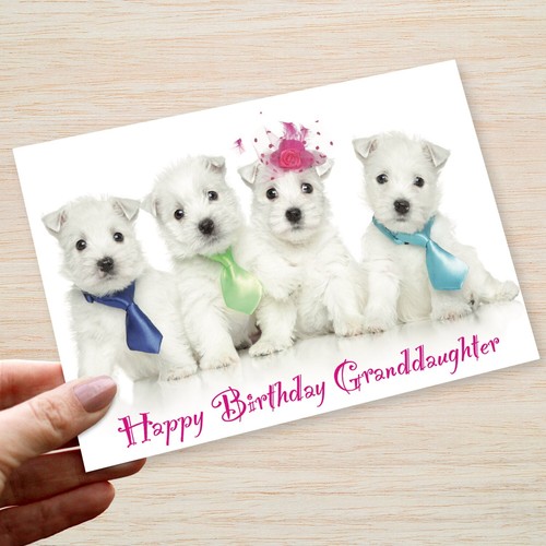 Granddaughter birthday card - granddaughter,