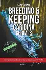 Caridina Shrimp Breeding: The
