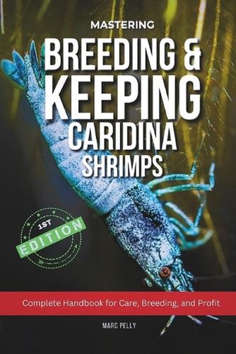 Caridina shrimp breeding the - caridina,