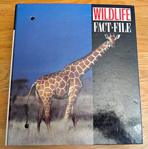 International masters wildlife - international,