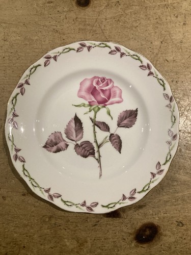 Royal standard rose marie - royal,