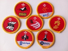 Cub Scout Activity Badges post