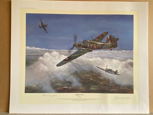 Aviation art 213 sqd - aviation,