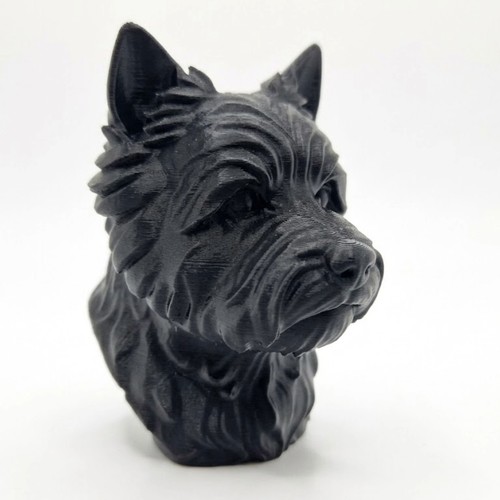 Cairn terrier dog bust home - cairn,
