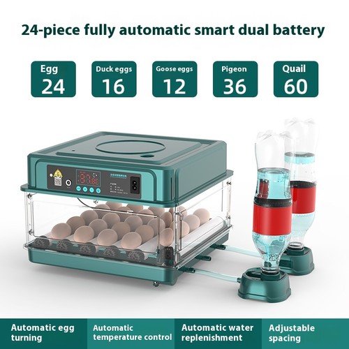 Eggs incubator for - 9-15,