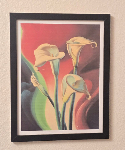 Arum lilies vladimir - arum, by