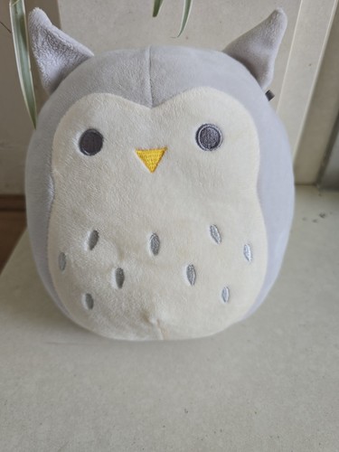 Hoot the owl squishmallow 5 - owl,