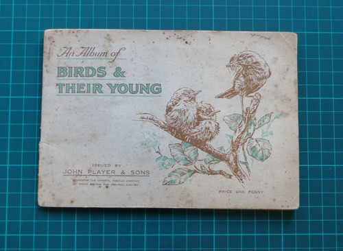 Album birds and - and, their