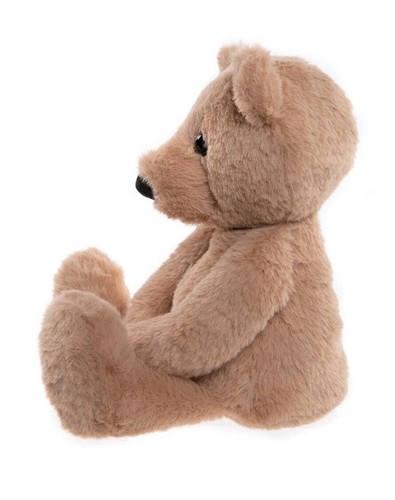 Bear teddy oatmmeal - me,