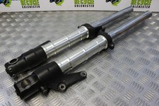 Triumph T595 Daytona Forks