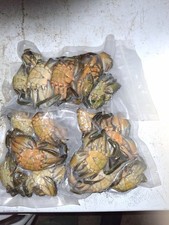 frozen peeler crab sea fishing