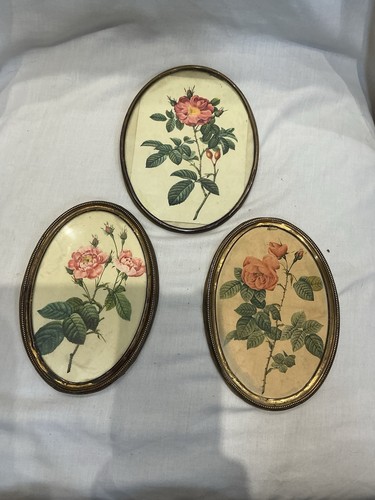 Vintage redoute rose - vintage,