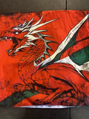 Welsh dragon cushion fierce