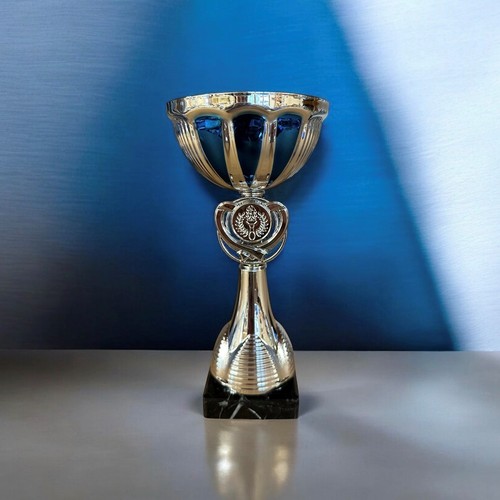 Silver bowl cup trophy - cup, award