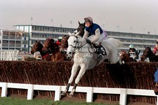 DESERT ORCHID SIMON SHERWOOD 1991 GOLD CUP CHELTENHAM FESTIVAL PHOTO HORSE RACIN