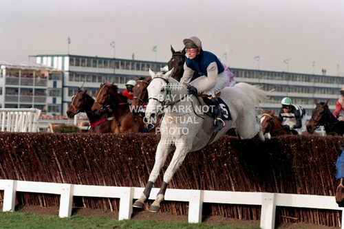 Desert orchid simon - orchid, sherwood