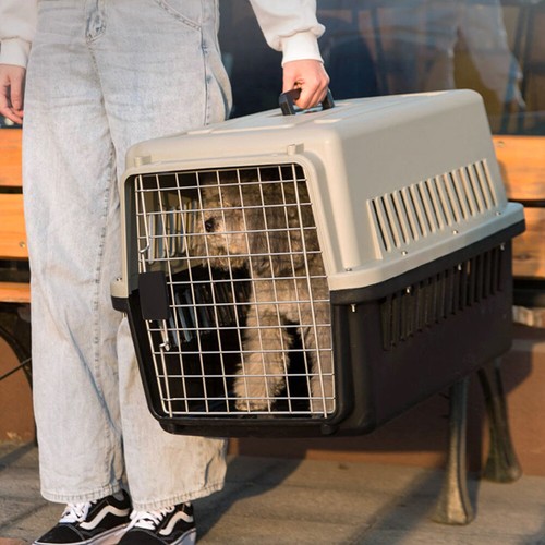 Portable pet carrier cat - portable,