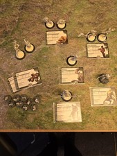 Dark Age BROOD Collection of