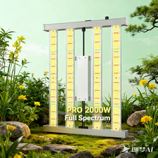 240W Daisy Chain LED  Linkable