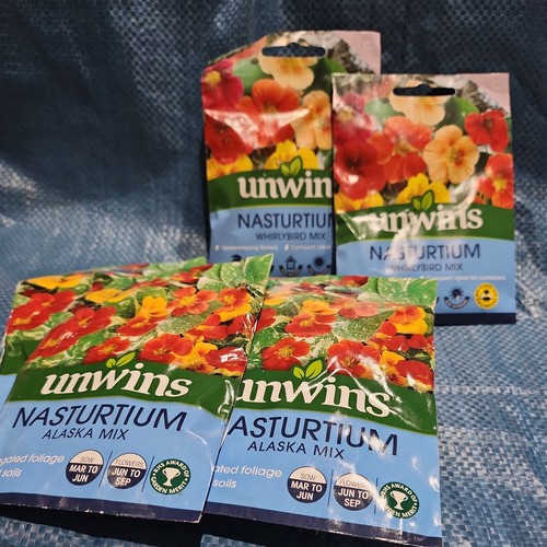 12x unwins nasturtium seeds - 12x,