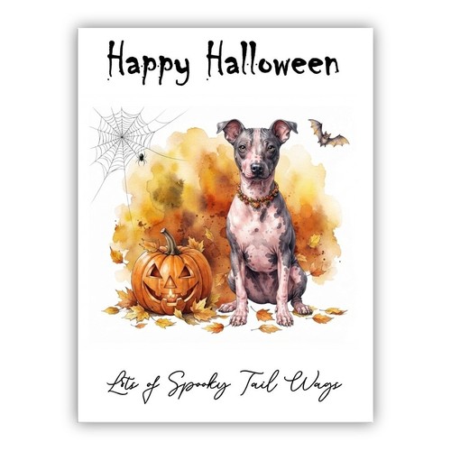 American hairless terrier dog - american,