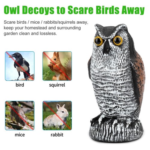 Owl decoy statue - owl,