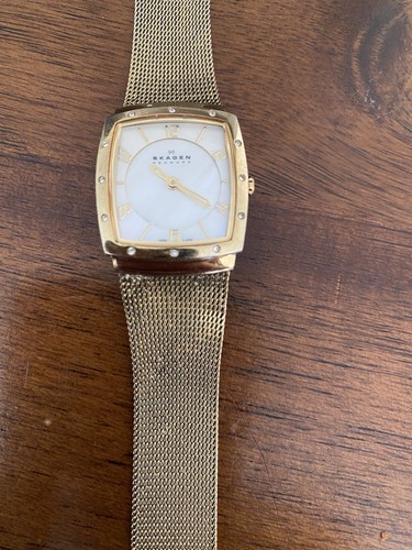 Skagen denmark 233xsgg classic - skagen,