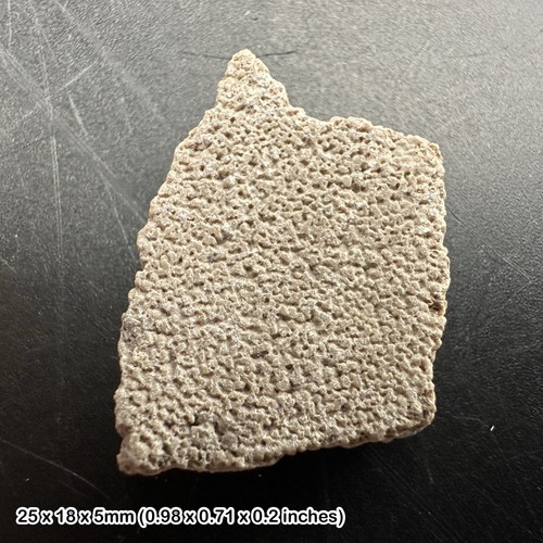 Rare titanosaur dinosaur