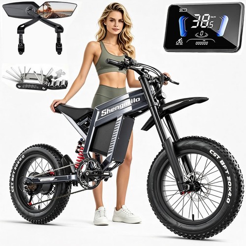 Fat tyre electric - 20”,