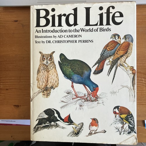 Bird life introduction to - bird,