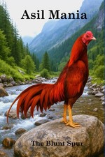 ASIL MANIA: ASIL GAMEFOWL