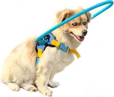 Updated Blind Dog Protective