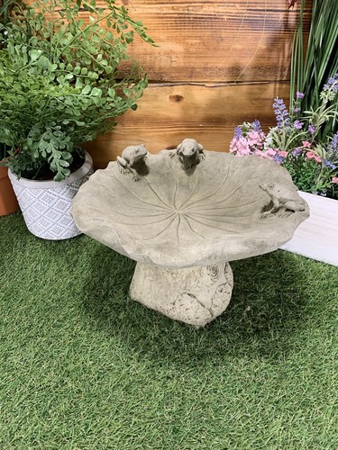 Stone garden frog - garden,