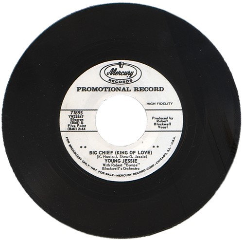 Young jessie big - jessie,