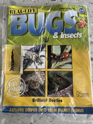 Real life bugs issue - real,
