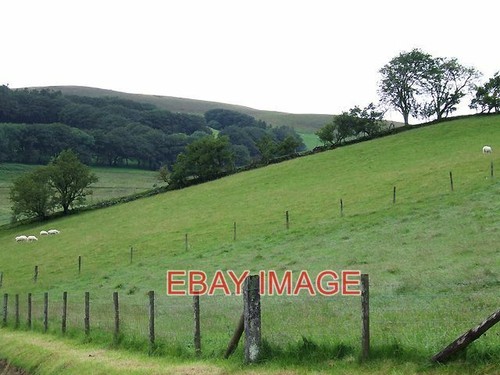 Photo grazing land cwm brefi - land,