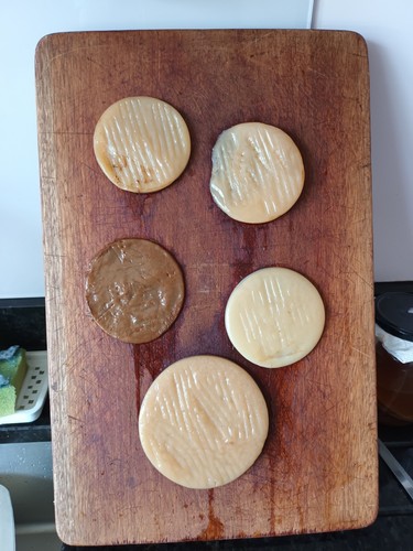 Kombucha scoby least 7 - scoby,