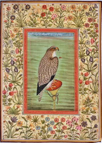 Original mughal falcon - original,