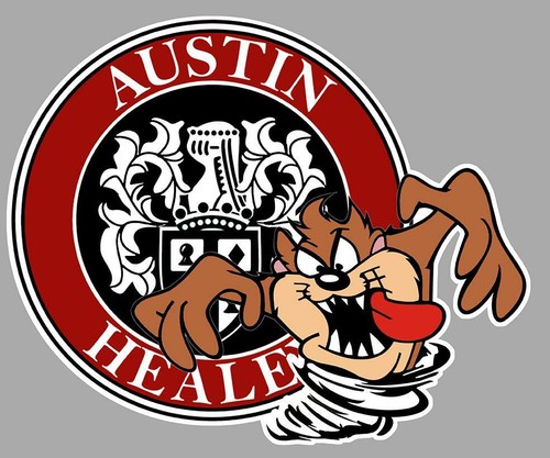 Austin healey right taz - austin,