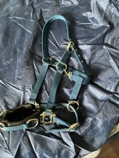 Lunge Cavesson Head Collar Size Full