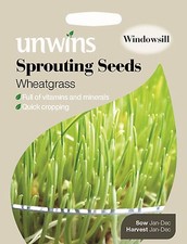 Unwins Pictorial Packet - Sprouting Seeds Wheatgrass - 400 Seeds