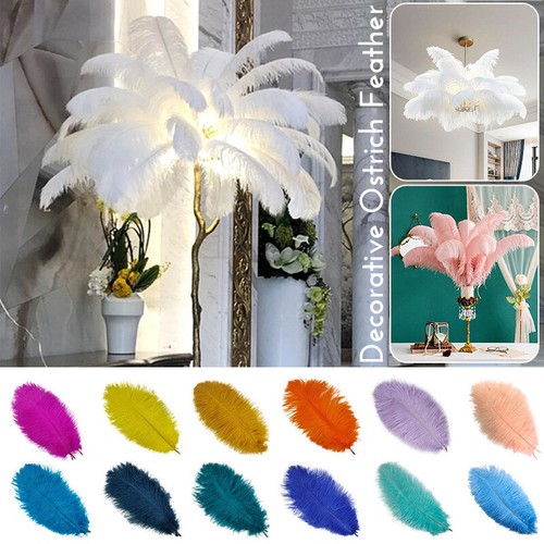 10pcs ostrich - 10pcs, 6-16’’ostrich