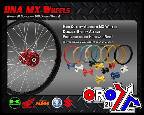 Pro 19x2 rear wheel blue - 19x2.15,