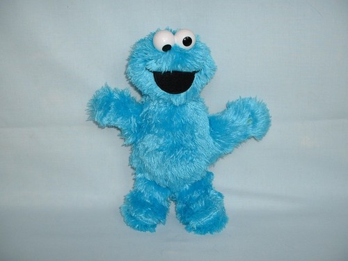 Sesame street cookie - 9",