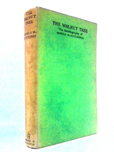 The walnut tree - walnut, (monica