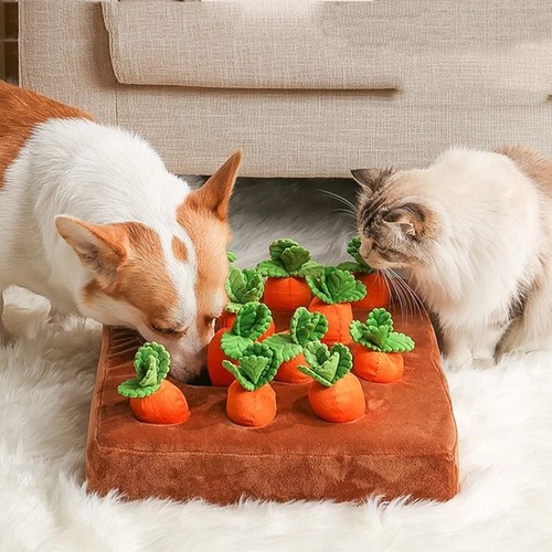 Mat garden carrot - carrot, toy