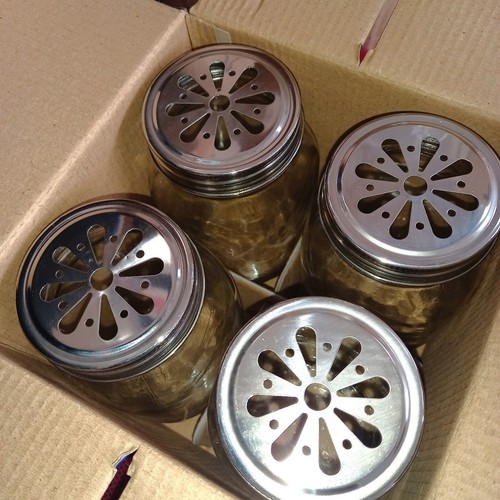Glass drinking jars - glass, x