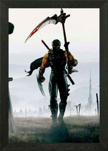 Ninja gaiden framed - gaiden, wall